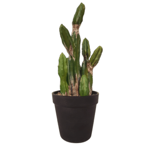 Faux cactus
