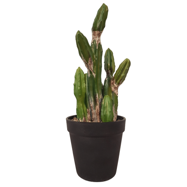Faux cactus