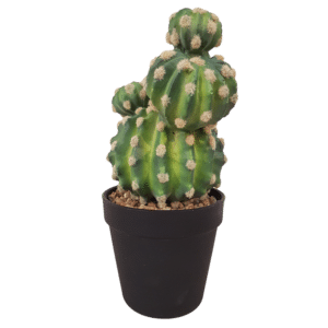 Faux cactus