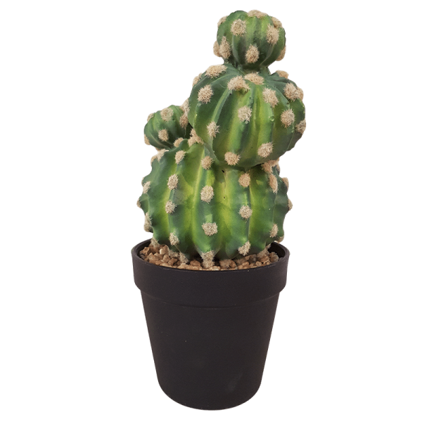 Faux cactus