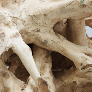 CONSOLE EN RACINE DE TECK 180 CM