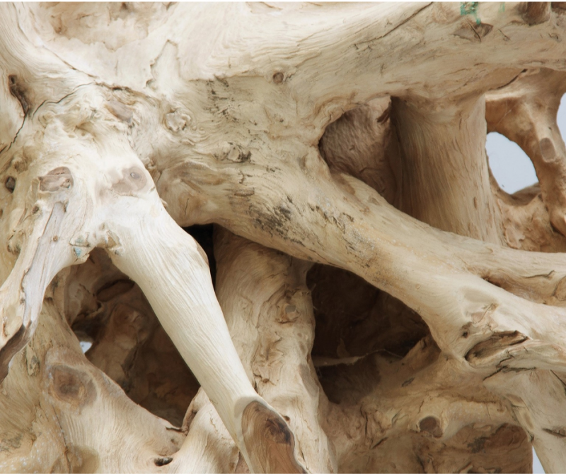 CONSOLE EN RACINE DE TECK 180 CM – Image 2