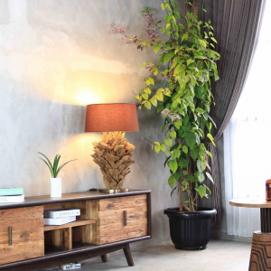 LAMPE FICUS