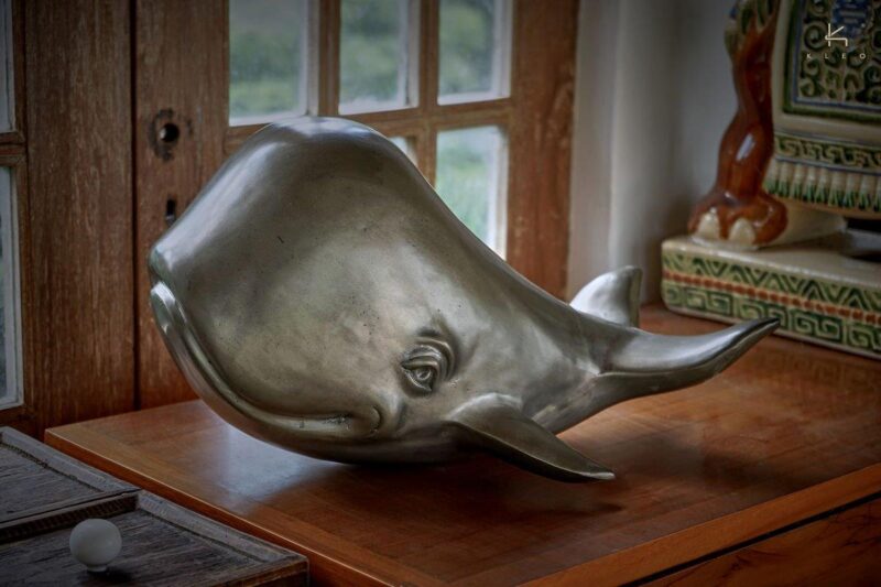 Baleine aluminium