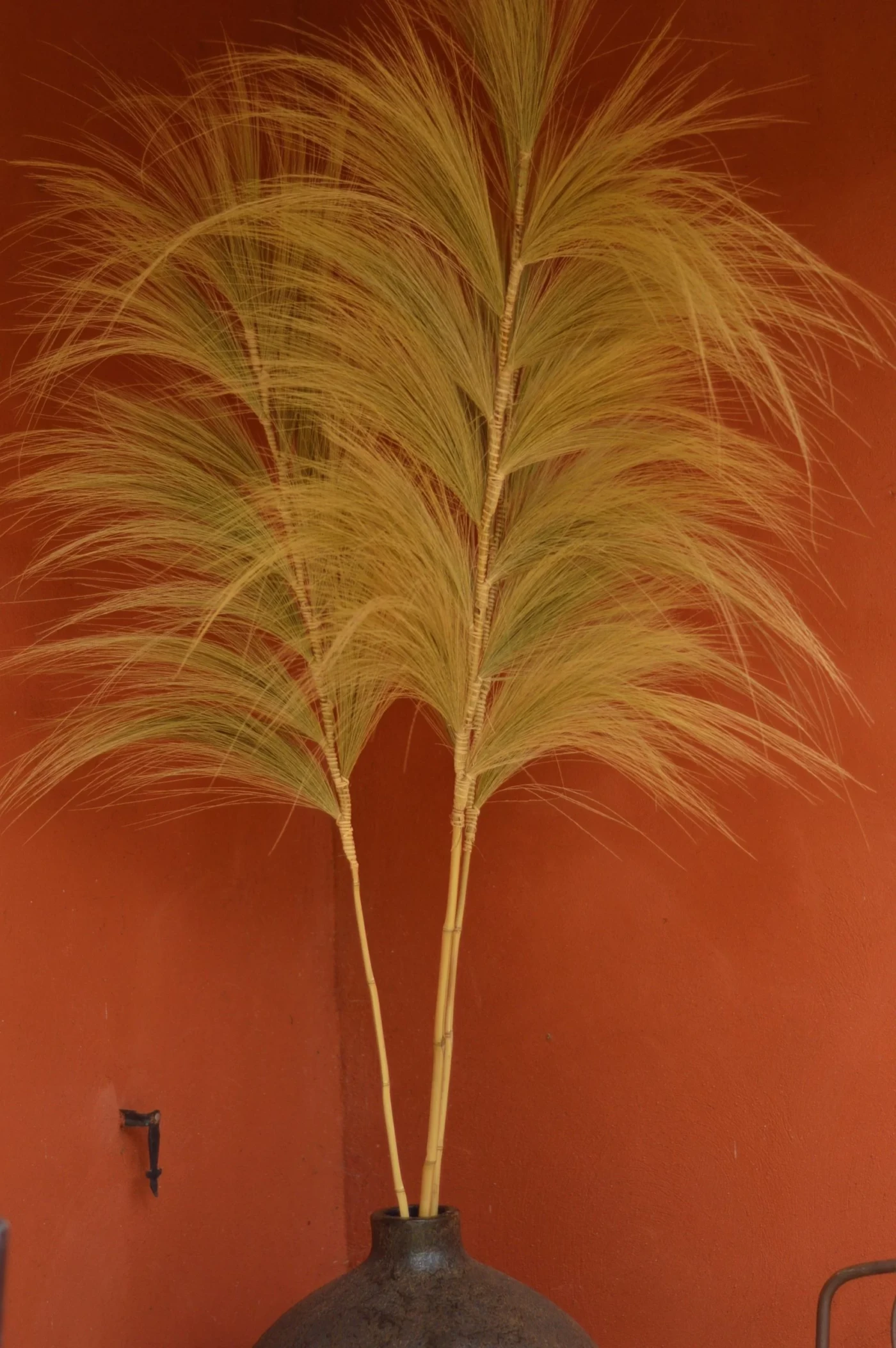 TIGES DÉCORATIVES PAMPA