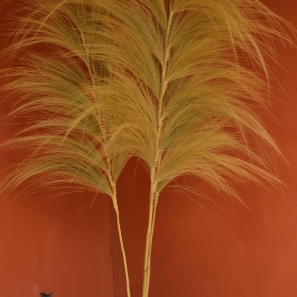 TIGES DÉCORATIVES PAMPA