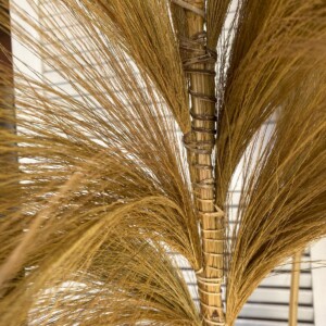 TIGES DÉCORATIVES PAMPA