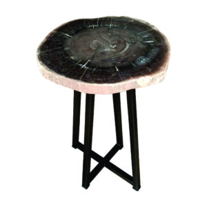TABLE BASSE EN BOIS PÉTRIFIÉ NOIR