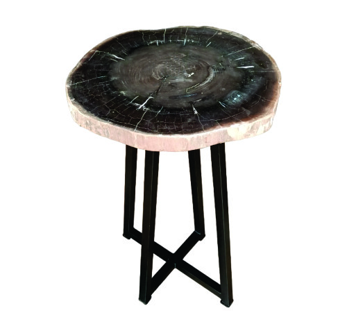 TABLE BASSE EN BOIS PÉTRIFIÉ NOIR