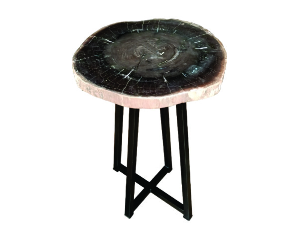 TABLE BASSE EN BOIS PÉTRIFIÉ NOIR