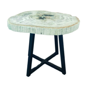 TABLE BASSE EN BOIS PÉTRIFIÉ CRÈME