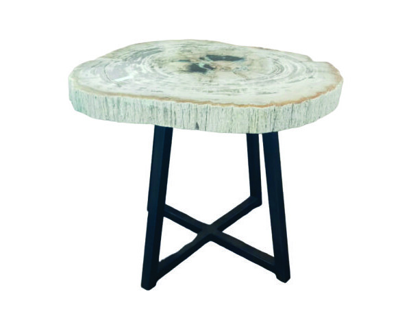 TABLE BASSE EN BOIS PÉTRIFIÉ CRÈME
