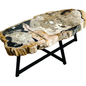 TABLE BASSE EN BOIS PÉTRIFIÉ