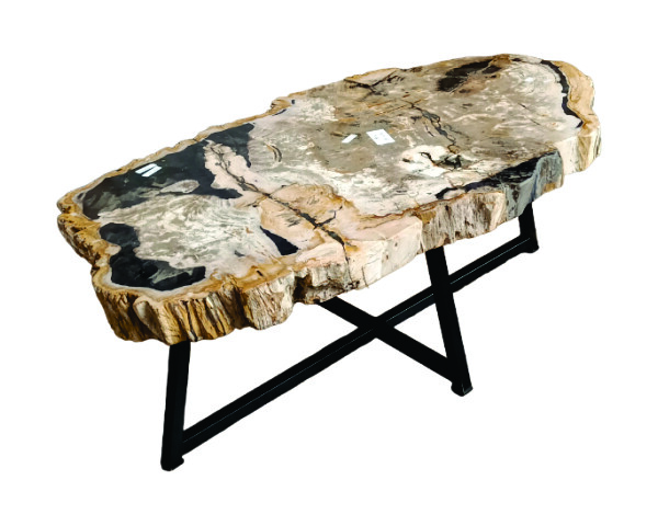 TABLE BASSE EN BOIS PÉTRIFIÉ